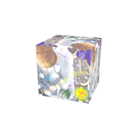 Новогодняя ночь Салют купить в Воронеже | voronezh.salutsklad.ru