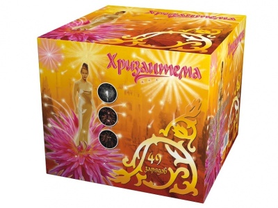 Хризантема Салют купить в Воронеже | voronezh.salutsklad.ru