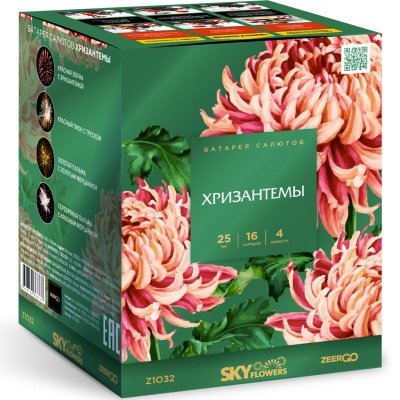 Хризантемы Фейерверк купить в Воронеже | voronezh.salutsklad.ru
