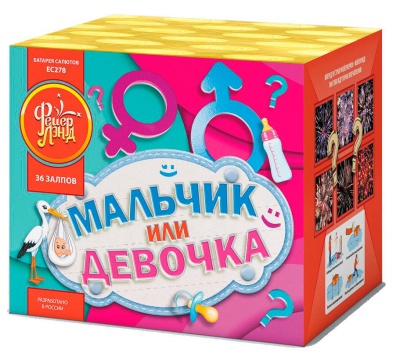 Мальчик или девочка М Фейерверк купить в Воронеже | voronezh.salutsklad.ru